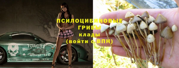 Альфа ПВП Алзамай